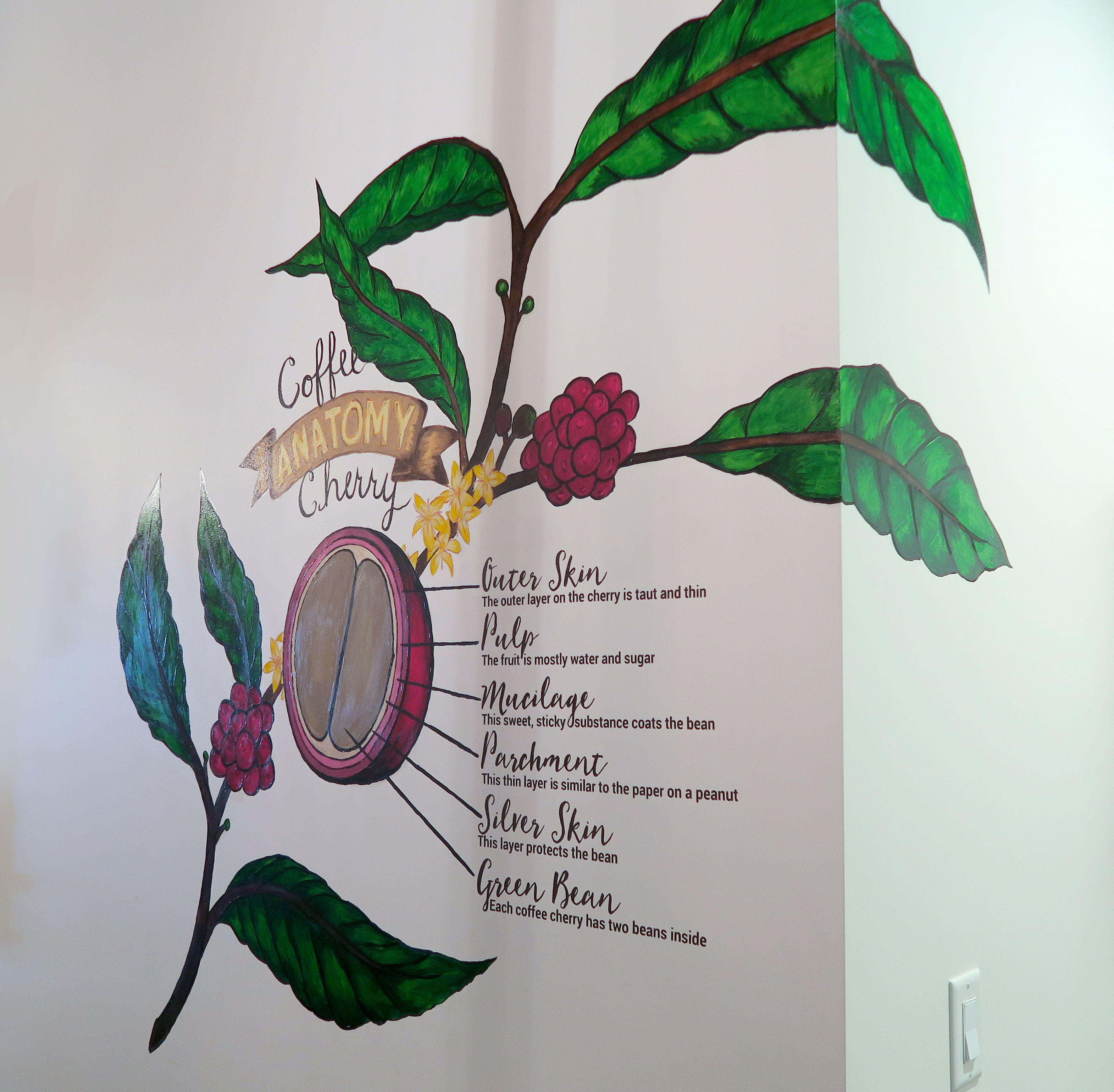 Hand painted wall mural